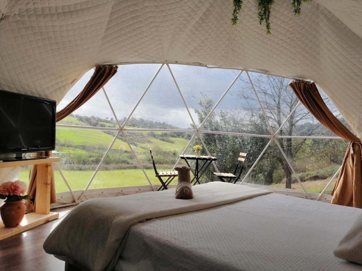 Готель Glamping Quintana Хіхон Екстер'єр фото